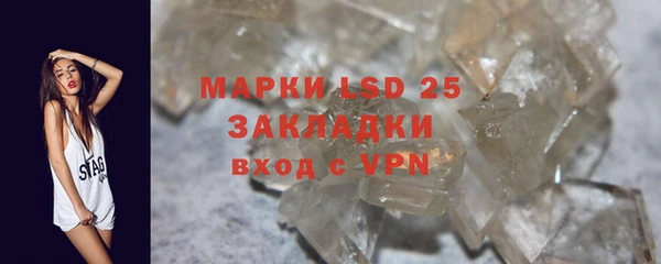 ПСИЛОЦИБИНОВЫЕ ГРИБЫ Балахна