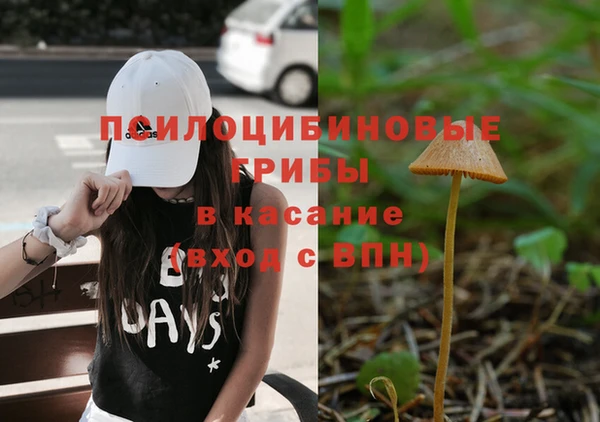 ПСИЛОЦИБИНОВЫЕ ГРИБЫ Балахна