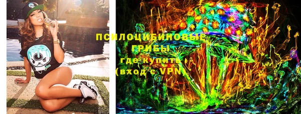 ПСИЛОЦИБИНОВЫЕ ГРИБЫ Балахна